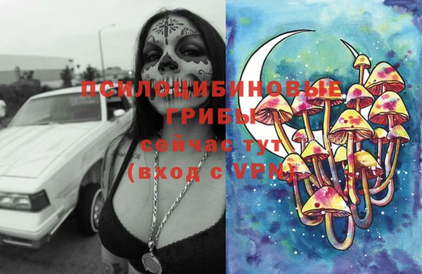 первитин Горнозаводск